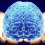 Cum se formează mintea – explicații științifice